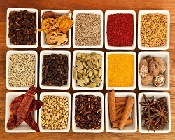 Manufacturer of spices